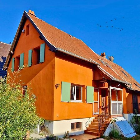 Beau Logement Au Centre D'Alsace Epfig Екстериор снимка